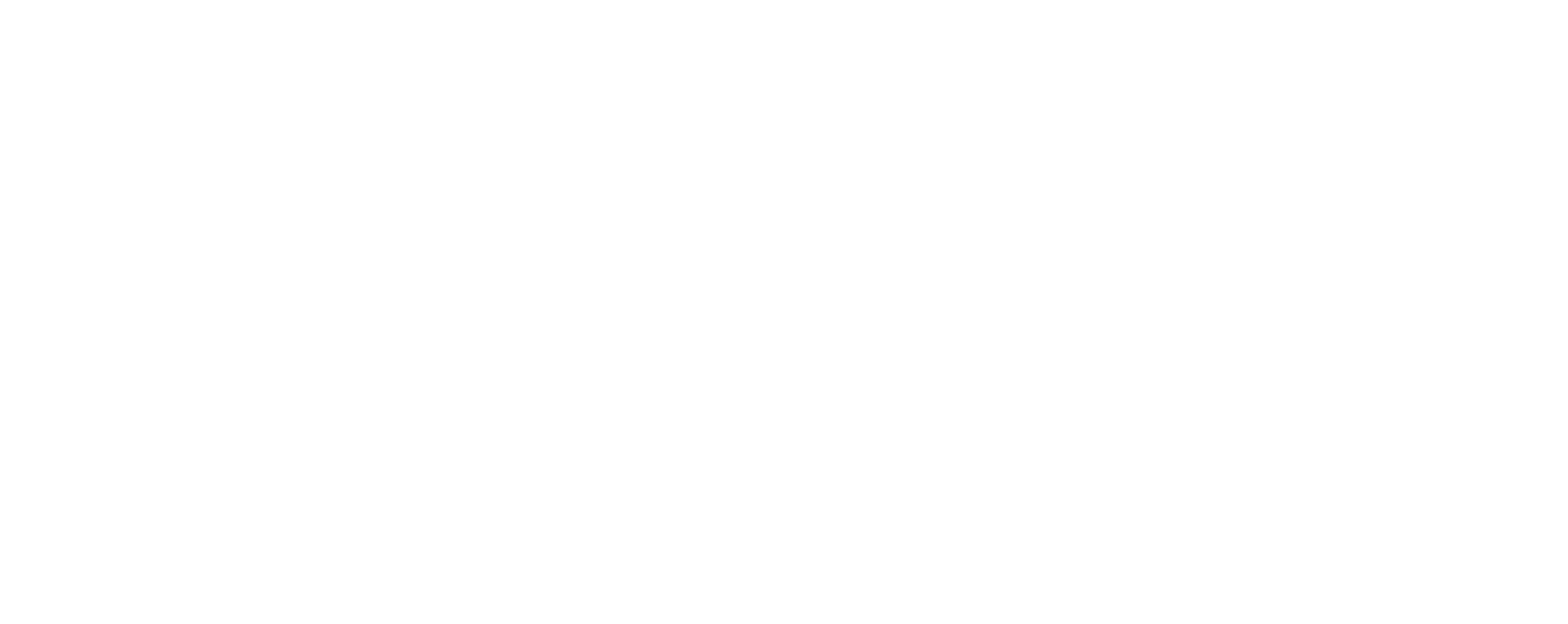 Bambi Insights Nemt Broker Mtm Medical Transportation Management